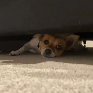 被按摩到高潮全过程
