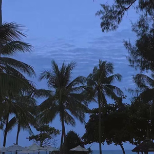 被按摩到高潮全过程
